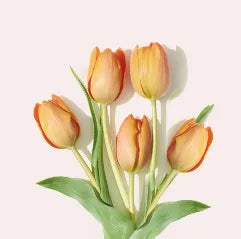 Beautiful tulips bouquet for delivery in UAE – vibrant and fresh tulip flowers from Giftshop.ae