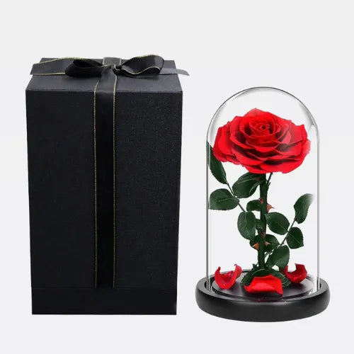 Forever Rose – Long-lasting preserved rose gift in Dubai, UAE.