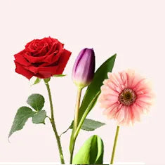 Send Flower To UAE | Mixed Flowers & Hand Bouquets