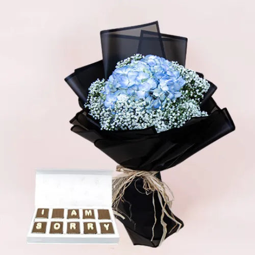 Sorry gift Combo with Hydrangea and Chocolates