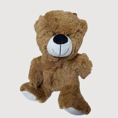 Send Teddy Bear Online in Dubai, UAE | Giftshop.ae
