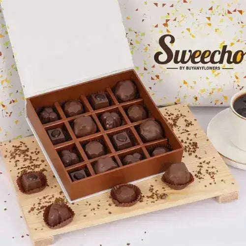 Sweecho 16-piece milk chocolate gift box for delivery in UAE