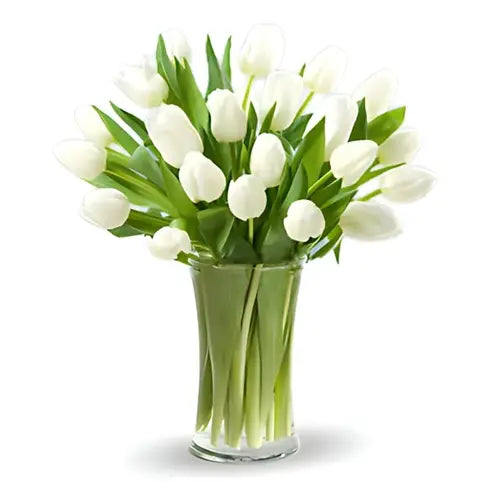 Bouquet of 25 white tulips arranged in a clear container filled with water (Everlasting Elegance: 25 White Tulips - giftshop.ae)