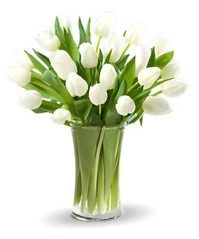Elegant white tulips for delivery in Dubai 