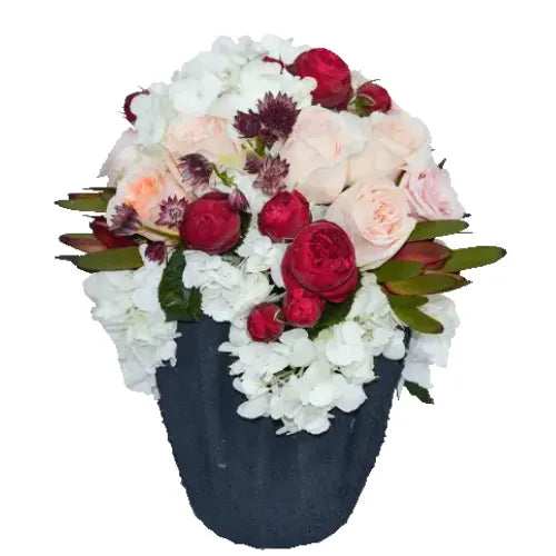 Wish And Luck Flower Bouquet with Peach Roses, Hydrangeas, Safari Flowers, and Spray Red Roses in a Black Vase - Giftshop.ae